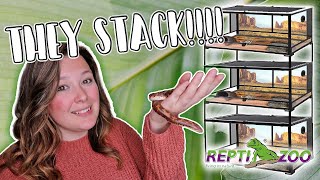 New Snake Enclosures Hognoses and Sand Boa  Reptizoo Stackable Enclosure Review [upl. by Aneles]