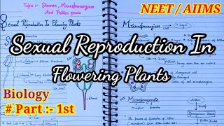 Class 12 Biology Chapter 2  Notes  Stamen Microsporangium And Pollen Grain  CBSE  NEET 🔥💯 [upl. by Eedyaj]