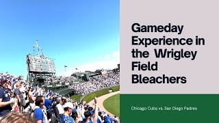 Gameday Experience in the Wrigley Field Bleachers [upl. by Goldfarb]