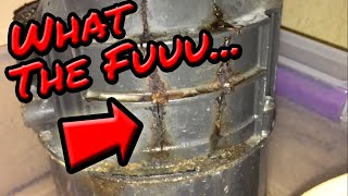 DO NOT BUY This Garbage Disposal is GARBAGE InSinkerator Badger Replacement Installation Review [upl. by Koeninger204]