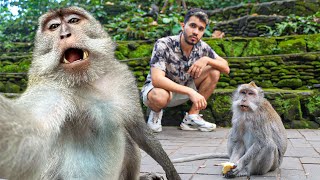 Así es un día NORMAL en BALI  Indonesia 🇮🇩 [upl. by Stanford]