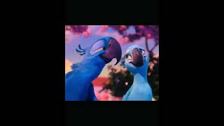 Blu and jewels Rio Trying not to make edits of just toothless edit rio bird love [upl. by Anaile633]