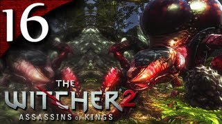 Lets Play The Witcher 2 BLIND  Part 16  How To Kill Endrega Queens Enhanced Edition [upl. by Manbahs]