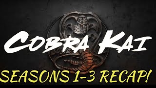 Cobra Kai Seasons 13 Recap [upl. by Ahsuatan]