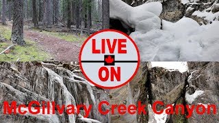 Let the FUN BEGIN McGillvary Creek Canyon Hike hiking [upl. by Moor]