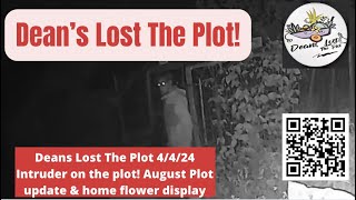 Deans Lost The Plot 4424 Intruder on the plot August Plot update amp home flower display [upl. by Anamuj]