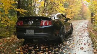 2010 Cammed Gt500 idling [upl. by Zacharia]