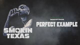 Wacotron  Perfect Example Official Audio [upl. by Queridas]