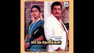 Vanna Nilave Vaigai Nadhiye Male  Paadaatha Theneekkal  Remastered audio song [upl. by Orestes]