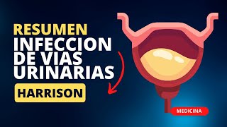 INFECCION DE VIAS URINARIAS  Pielonefritis y prostatits  RESUMEN  Harrison [upl. by Iot486]