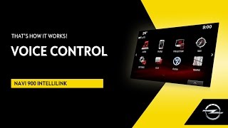 Navi 900 IntelliLink  Voice Control  Thats How It Works [upl. by Refinej975]