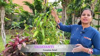 Vaijayanti Seeds  Grow Pearl at Home  Plant Care amp Benefits [upl. by Hare]