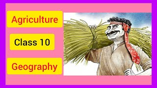 Agriculture  Part2 of 2 Class 10  Geography  Ch 4 full explanation in Hindi  YouTube [upl. by Chappie]