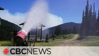 Hundreds under evacuation order due to fires in BC Southern Interior [upl. by Krein594]