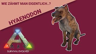 Hyaenodon zähmen Schnell und einfach für hohe Taming Effectiveness [upl. by Hagar]