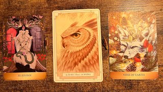 LIBRA ♎️ “OWL SPIRIT VISION ALLOWS YOU TO SEE RIGHT THROUGH PPL” TAROT amp ORACLE READING SEPT 2024 [upl. by Constant]