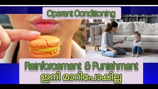 Operant Conditioning Reinforcement and Punishment Difference [upl. by Pan]