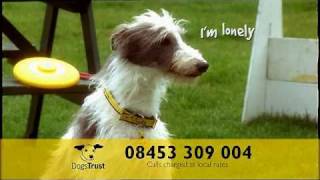 Dogs Trust Ad [upl. by Airbmak]