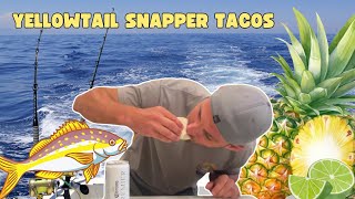 Yellowtail Snapper Tacos [upl. by Elletnuahc]