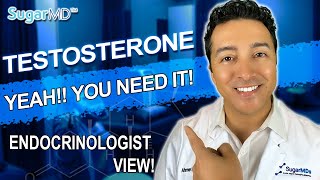 Raise Testosterone Naturally Endocrinologist Advise [upl. by Atnom]