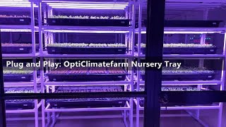 DFT Nursery Systems [upl. by Josh]