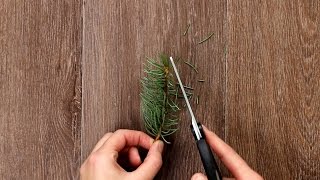 Weihnachtsbaum im Glas als DIY Weihnachts Deko [upl. by Balcke596]