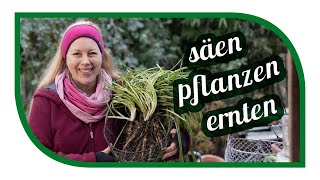 Aussaat im Januar  säen pflanzen ernten  Selbstversorgung mit Gemüseanbau [upl. by Ettegirb]