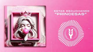 Hayseeds  Princesas Pereza DampB Cover [upl. by Annyrb]