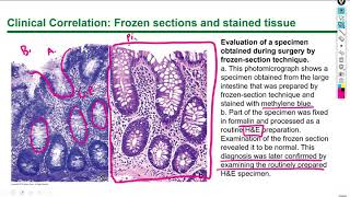 Histology Lecture 1 Chapter 1 [upl. by Dorcea]