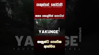 Sinhala holman katha  සිංහල හොල්මන් කතා [upl. by Ellwood473]