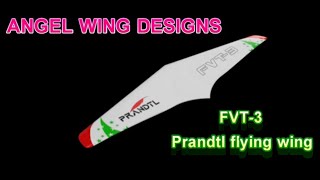 Prandtl Flying Wing FVT3 Part 2 Spars and Ribs [upl. by Adiarf]