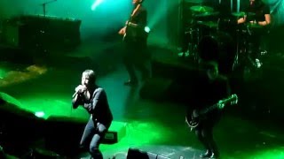 Suede  Metal Mickey  Live At Tivoli Vredenburg Utrecht 30012016 [upl. by Suiravaj]