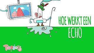 HOE WERKT EEN ECHO  TOPDOKS ANIMATIE [upl. by Kiki469]