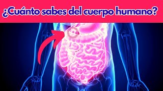 ¿Cuánto Sabes de Anatomía  Trivial cuerpo humano [upl. by Towney]