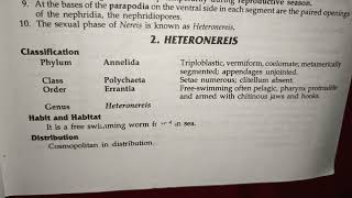 heteronereis classification habitat and comments zoology practical bsc best handwritten study notes [upl. by Asimaj]