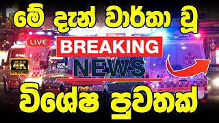 DERANA BREAKING NEWS  Special sad news received now ADA DERANA NEWS HIRU NEWS [upl. by Shippee]