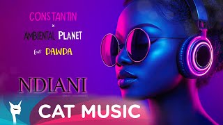 Constantin x Ambiental Planet feat Dawda  Ndiani Afro House  Official Visualiser [upl. by Fish]