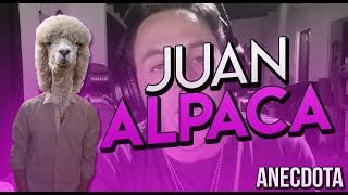 Juan ALPACA  Anecdota  MomoLaDinastia [upl. by Nevi]