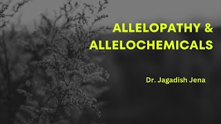 Allelopathy and Allelochemicals Allelopathy weedmanagement [upl. by Einwat701]