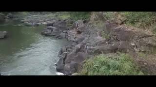 DJI Ryze TELLO Drone Cinematic Footage 8thEps quotManggis River  Indonesiaquot [upl. by Amando750]