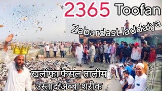 2365 kabutaro ka lashkar 😘 Zabardast ladaiyya  Ustad Abba sharik  Hindustan ka sabse bada shok 🥰 [upl. by Carmel620]