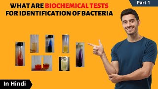 Biochemical Tests for Identification of Bacteria  in Hindi  CatalaseOxidaseICUT tests [upl. by Etteiram]