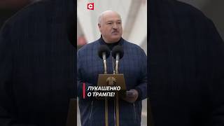 Лукашенко о Трампе беларусь лукашенко трамп харрис сша спорт политика новости [upl. by Novat297]