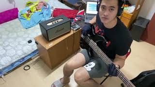 Rebound by Silent Sanctuary Bass Cover [upl. by Ainek755]