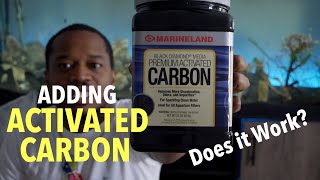 Activated Carbon  Does it work in your Aquarium [upl. by Aleciram]