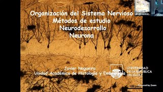 HistoNCR 2024  Teórico 2  Organización del SN  Métodos estudio  Neurodesarrollo  Neurona 5824 [upl. by Ginni]