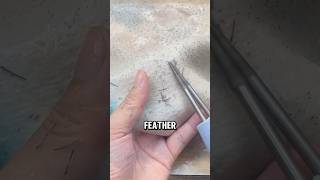 Efficient Electric Poultry Feather Plucker A StepbyStep Guide😅😅 wildanimalfacts facts [upl. by Ange125]