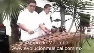 Marimba en Monterrey La zandunga 81 14760493 [upl. by Aniram]