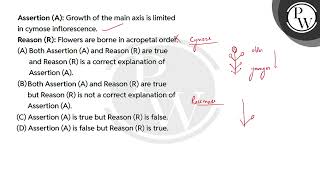 Assertion A Growth of the main axis is limited in cymose inflorescenceReason R Flowers ar [upl. by Erhart]