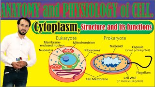 Cytoplasm  Protoplasm Composition Functions  In detail  Made Easy  Top lesson4u [upl. by Nevlin]